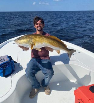 Red Drum Fishing in Steinhatchee
