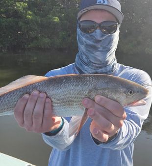 Beautiful Naples redfish ready for the photo!