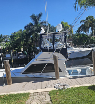 Sun, sea, and endless fishing adventures 