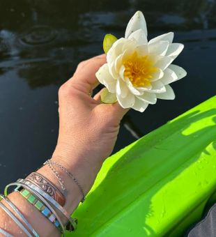 Beautiful water lily spotted during our Hale MI tour!