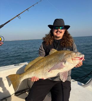 Nice black drum from St. Augustine waters!