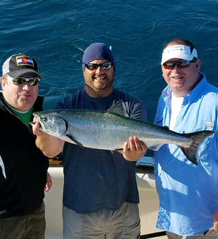 King Salmon Caught on A Recent Charter