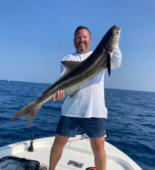 Cobia action in Port St. Joe