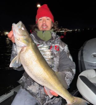 Massive walleye night bite!