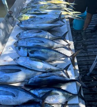 Big catches and sunny Florida Keys days on the water