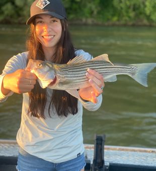 Sunlit and striped!