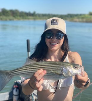 Sharp and striped!