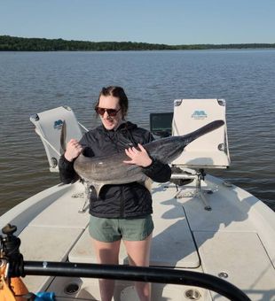Oklahoma’s giants—Spoonbill day