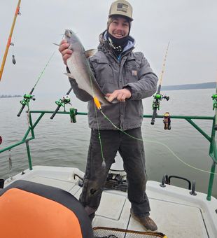 Blue Catfish Dream! - Wagoner, OK.
