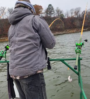 Fish On! - Wagoner, OK.