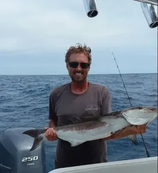 NC Charter Fishing: Cobia