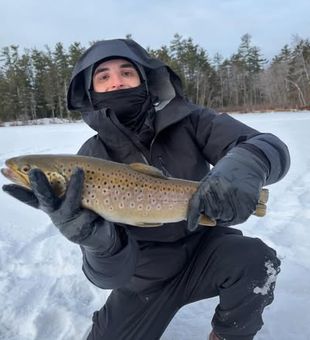 From trophy bass to native trout, freshwater fishing in Maine offers something for every angler.
