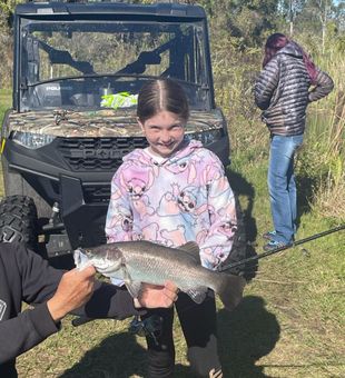 Barramundi leaps, hearts race