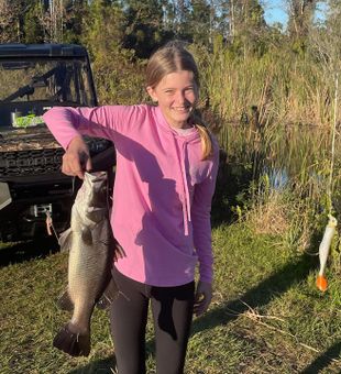 Barramundi fever, catch the thrill