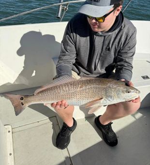 In-Demand Fishing Charters with Redfish Catch!