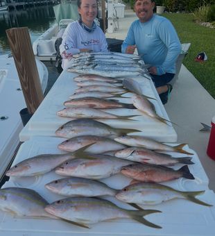 Loaded Miami yellowtail snapper table