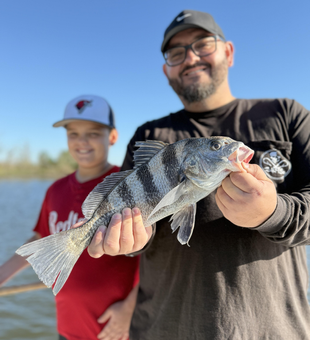 Nice Black Drum caught using deep sea light tackle! Afternoon clearing made for perfect fishing conditions.