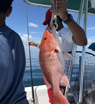 Deep sea adventure lands a prized Red Snapper off Jacksonville's coast!