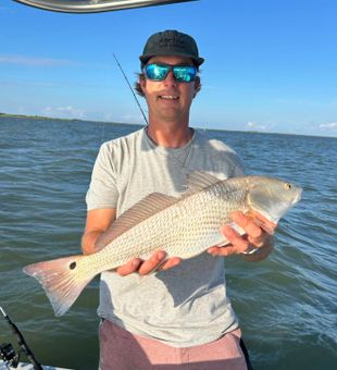 Prime Redfish catch!
