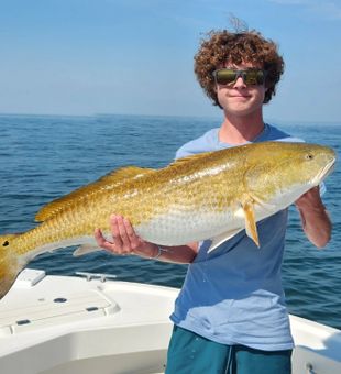 Giant Redfish catch!