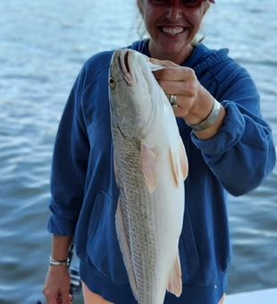 Another productive day on a guided trip through Chesapeake Bay departing from Reedville—where Virginia anglers come for world-class coastal fishing.