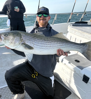 Hefty Striped Bass on an Atlantic Highlands fishing trip.