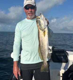Steinhatchee Sea Trout in Action