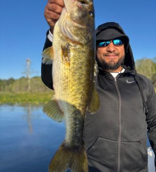Reeling memories in quiet Steinhatchee creeks