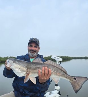 New Smyrna, big fish! 