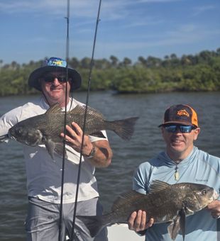 Double Blacks Reeled! - New Smyrna Beach, FL.