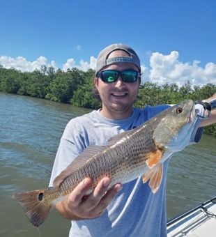 Reds are biting here - New Smyrna Beach, FL.