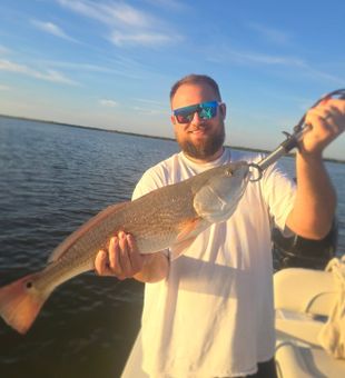 New Smyrna Beach redfish ready for the cooler!