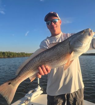 Beautiful redfish from New Smyrna Beach waters!