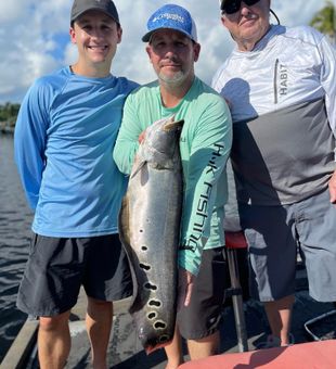 Caught a Clown Knife Fish with this family