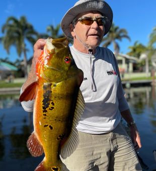 Lake Ida peacock bass