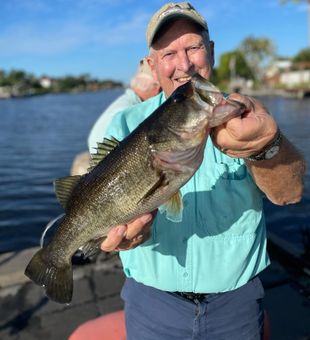 Largemouth Bass caught in Lake Ida