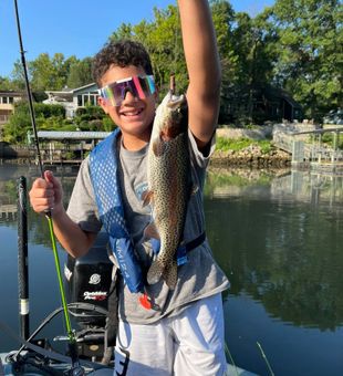 Trout fishing moments from Lake Taneycomo