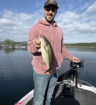 Beautiful spotted bass landed at Table Rock Lake!