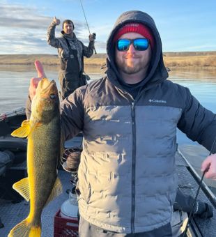 Hooked up with some trophy walleye in the Columbia River