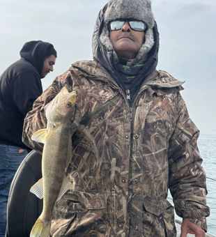 Cold-water walleye fishing catch