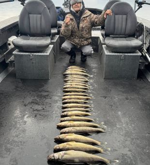 Loaded walleye fishing haul