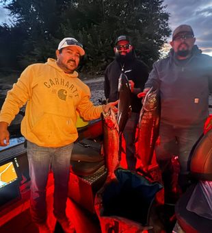 Landing some beautiful steelhead on the Columbia River