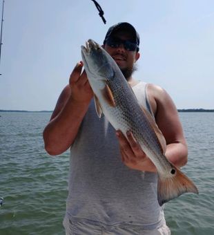Redfish in Beaufort, SC