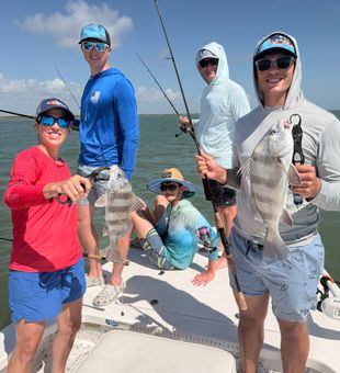 Black drum action heating up at South Padre Island!