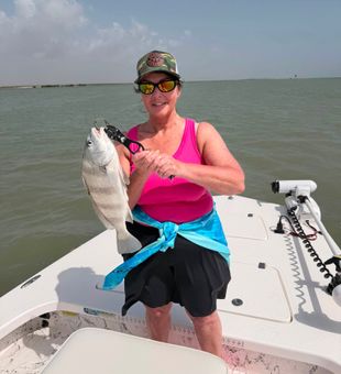 Nice black drum from South Padre Island waters!