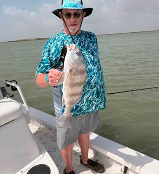 Nice black drum from South Padre Island waters!