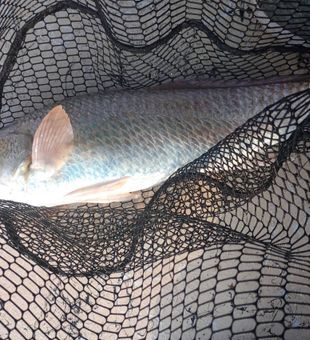 Sharing fishing skills and smiles on every charter