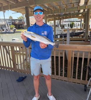 Beautiful South Padre Island speckled trout on the dock!