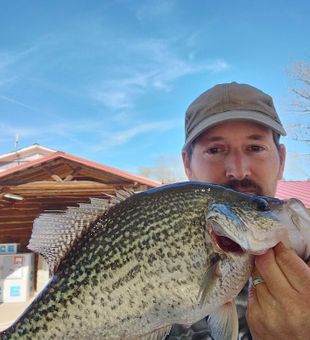 Crappie Fishing In North Carolina