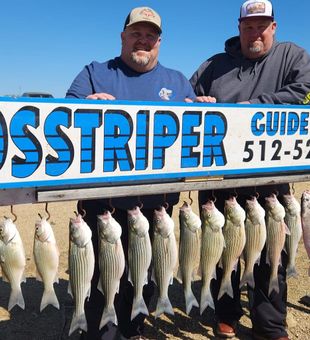 Fish in Lake Buchanan: A day well spent.
